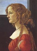 Sandro Botticelli Porfile of a Young Woman (mk45) painting